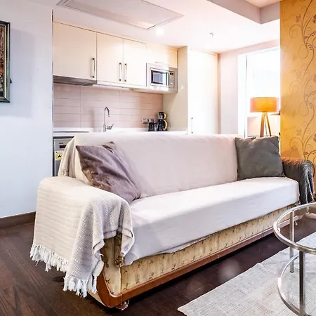 Sleek Flat In Maltepe