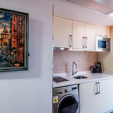 Appartement Sleek Flat In Maltepe *